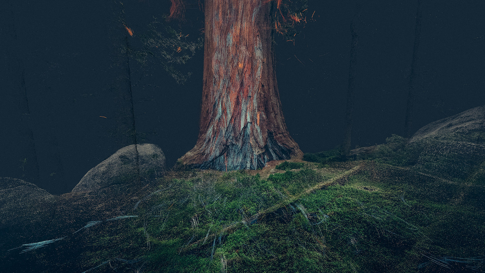 Treehugger-Wawona_01