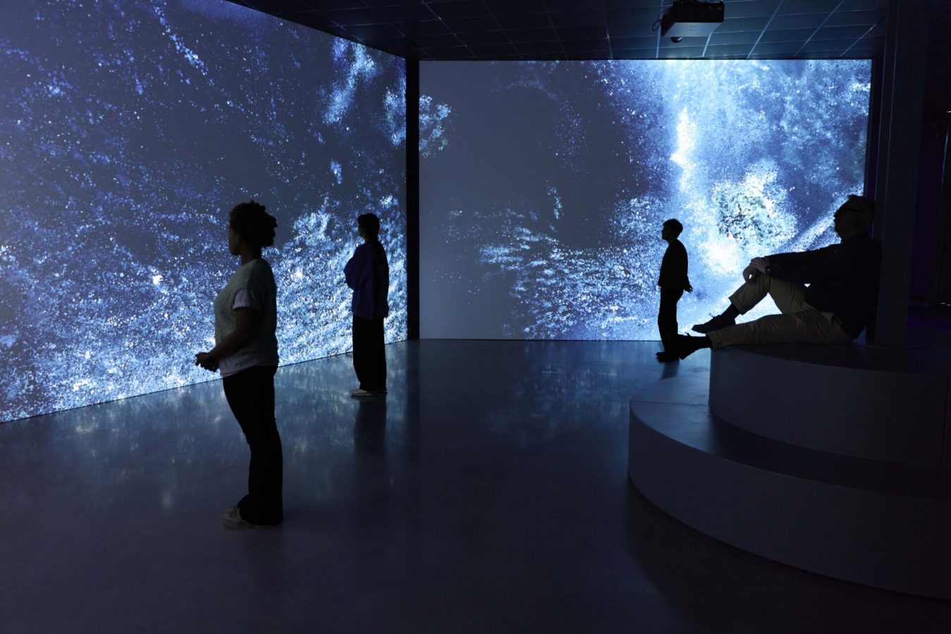 Seeing Echoes in the Mind of the Whale at Panorama Expérience, Grand Quai, Montréal, 2026. Image: Panorama Expérience / PHI.
