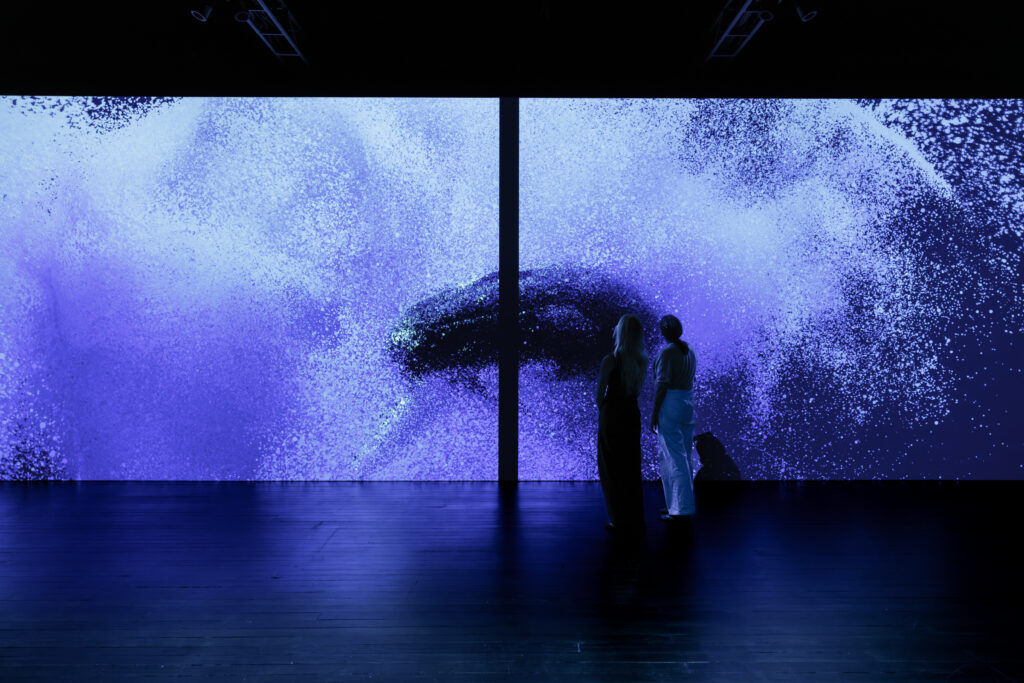 Seeing Echoes in the Mind of the Whale, WA Museum Boola Bardip. Image: Marshmallow Laser Feast / WA Museum.